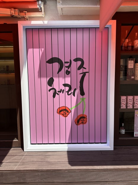 트라이경주 이미지