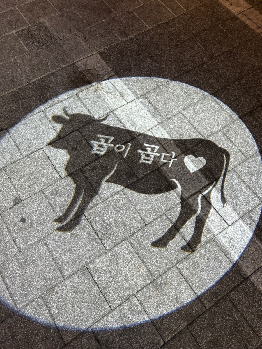 곱이곱다 안동점 이미지