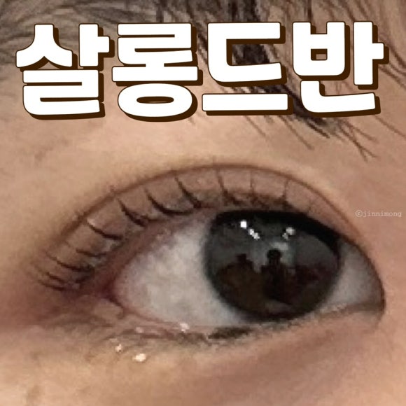살롱드반 이미지
