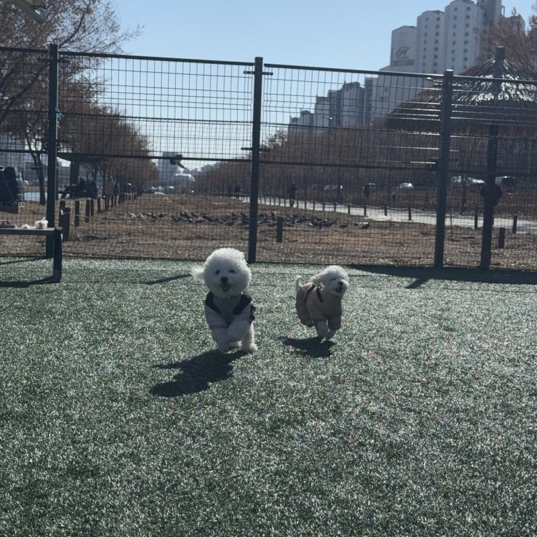 군자유치원 이미지