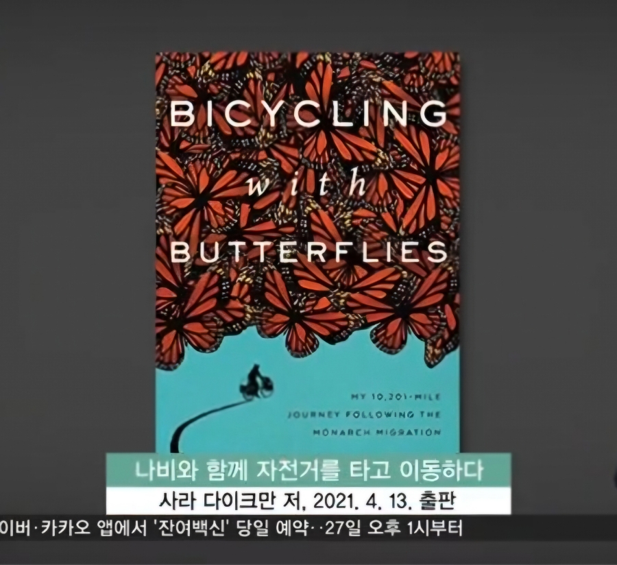 모나크갤러리 이미지