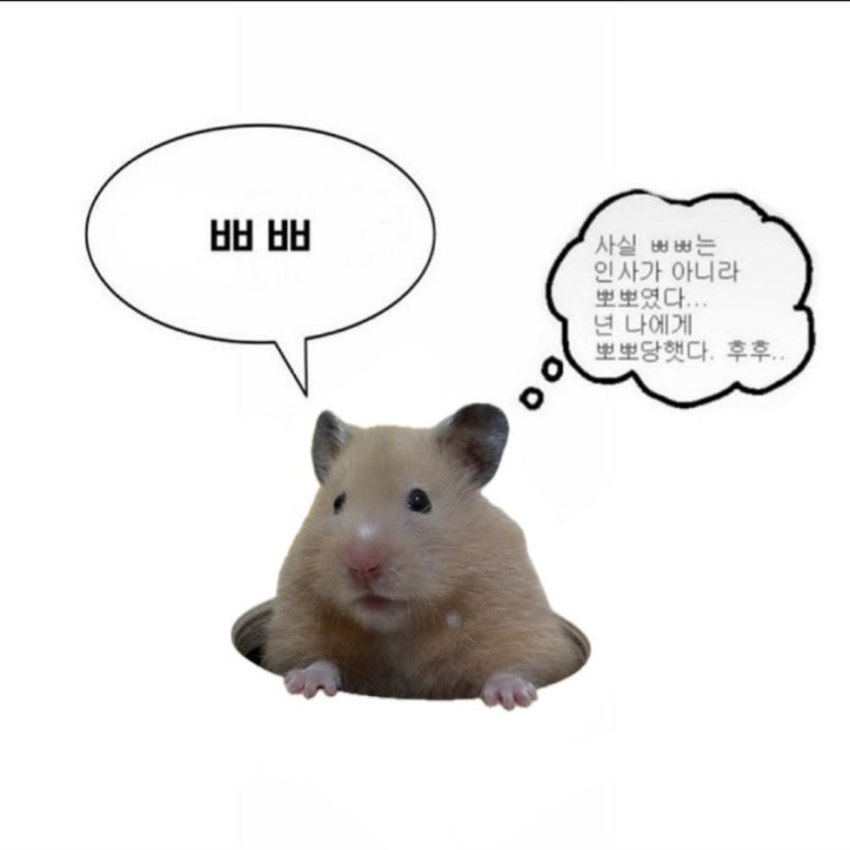뜻밖의발견 이미지