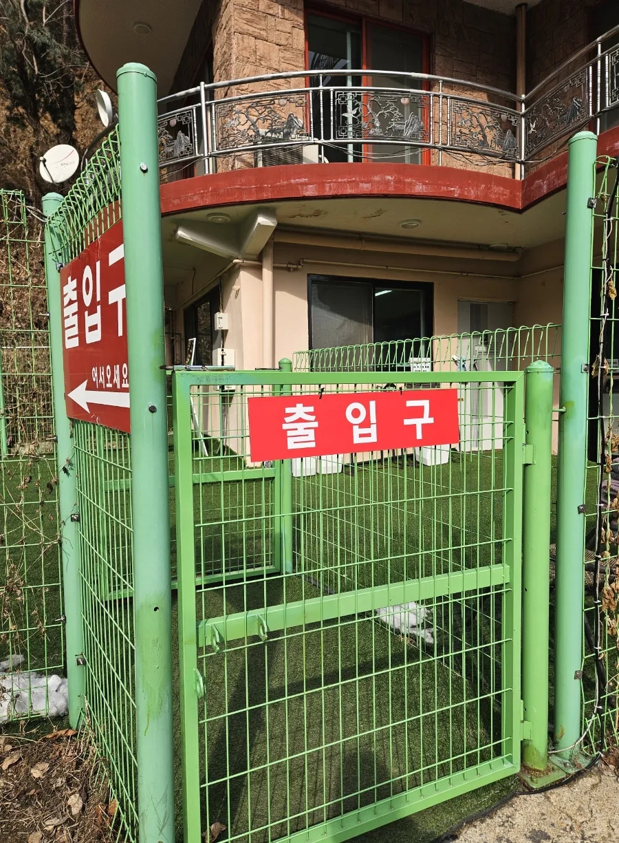 영화산장 애견카페: 넓은 운동장과 캠핑 감성, 외부 음식 반입 가능 — 사진 2