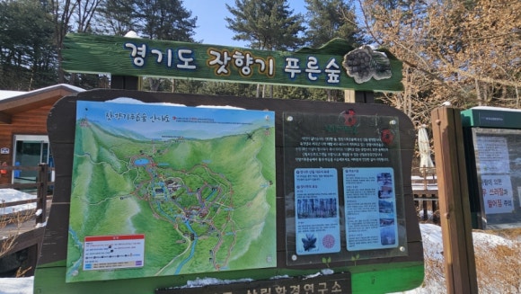 푸른숲 이미지