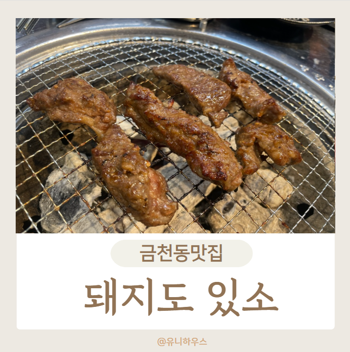 돼지도있소 이미지