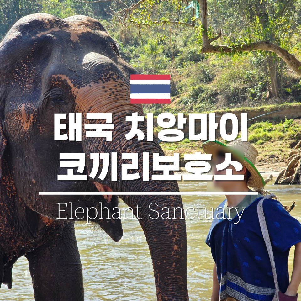 (주)코끼리투어 이미지
