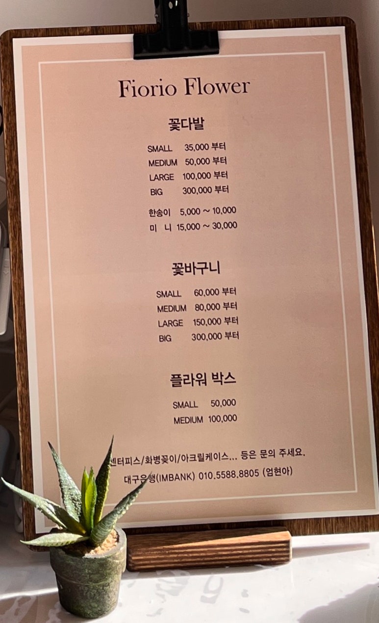 피오리오 이미지