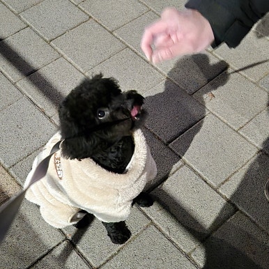 (주)프레시밀 이미지