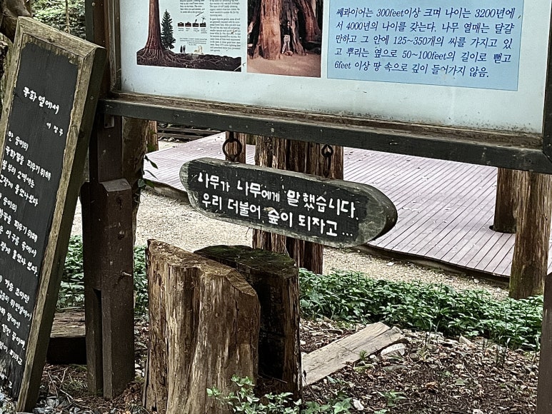 더불어숲 이미지