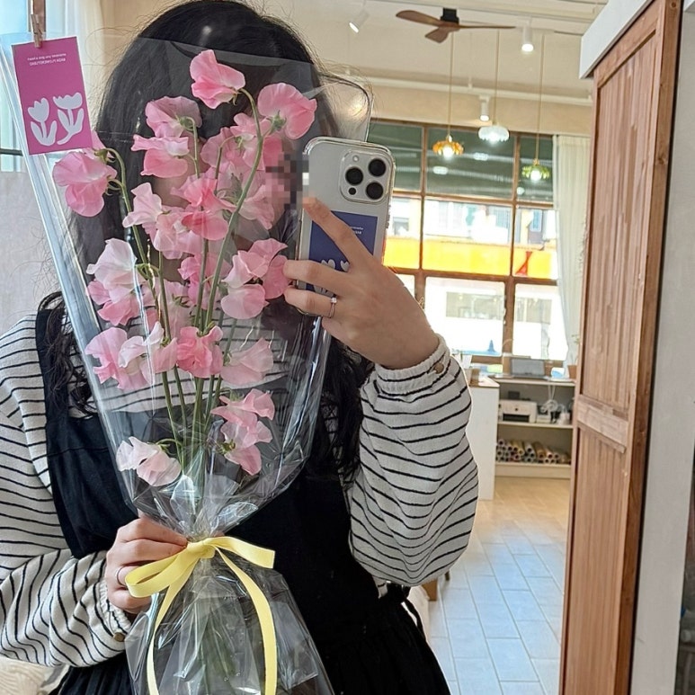 바다꽃방 이미지