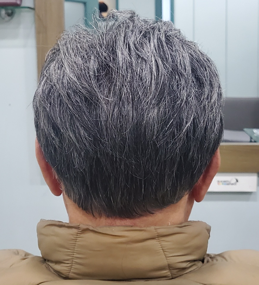 가모미모 이미지