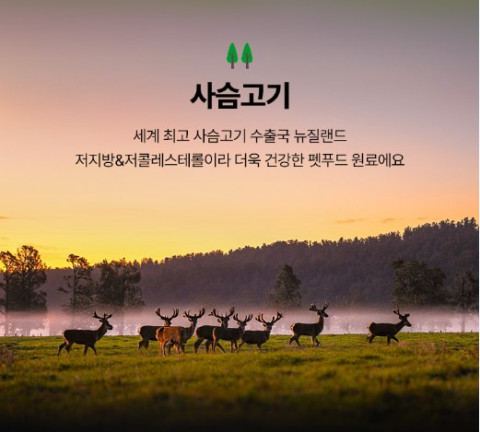 청정무역 이미지