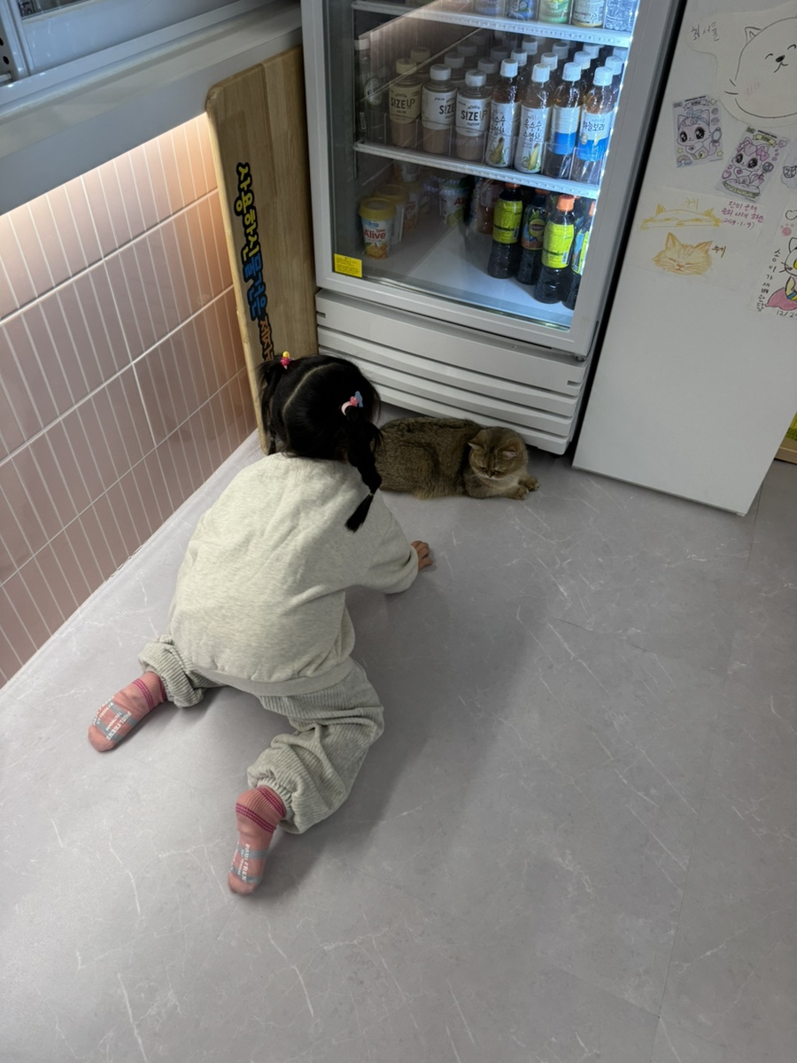 설렘고양이카페 이미지