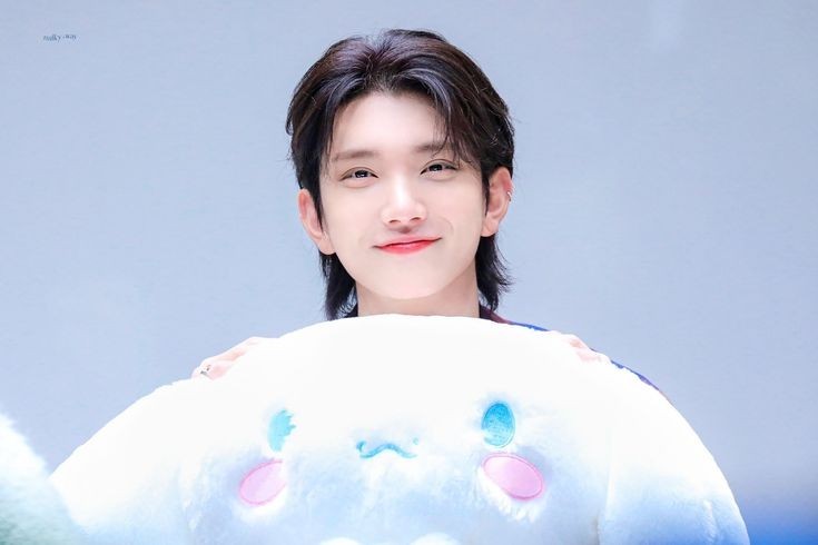 나모 이미지