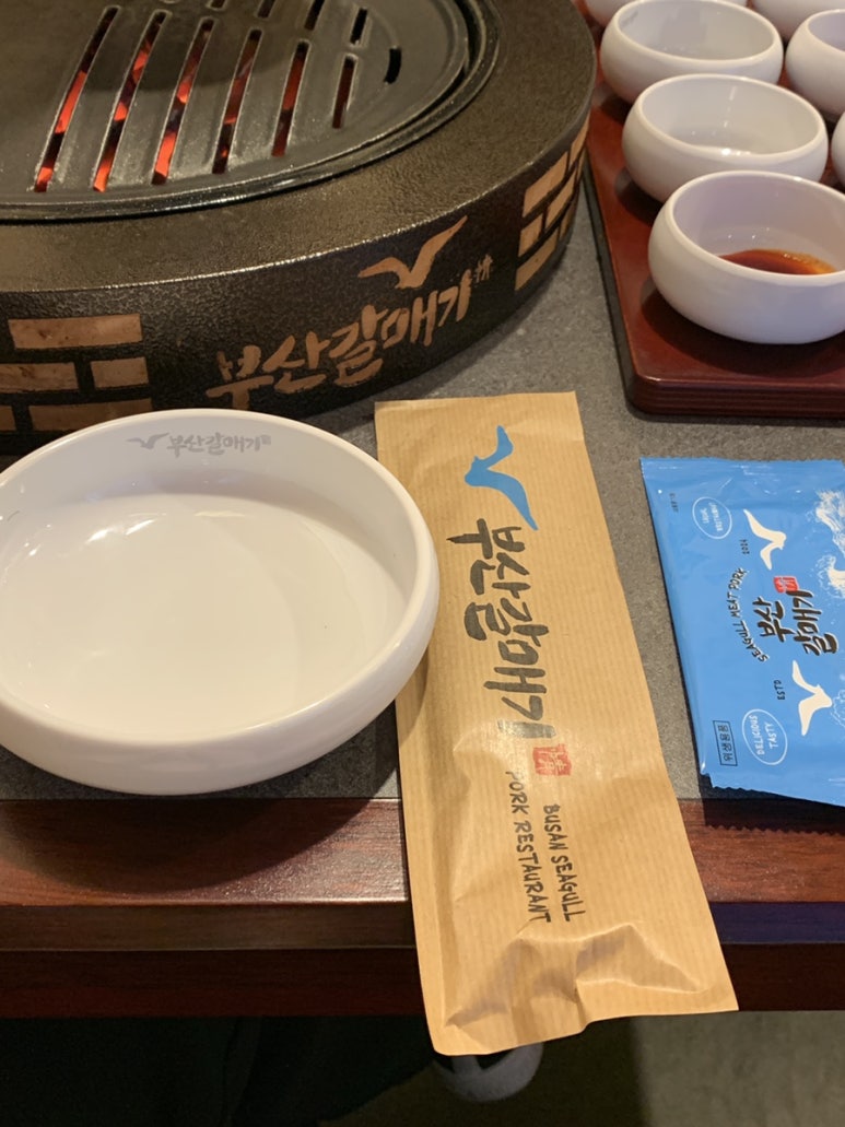 순천갈매기 사진 3