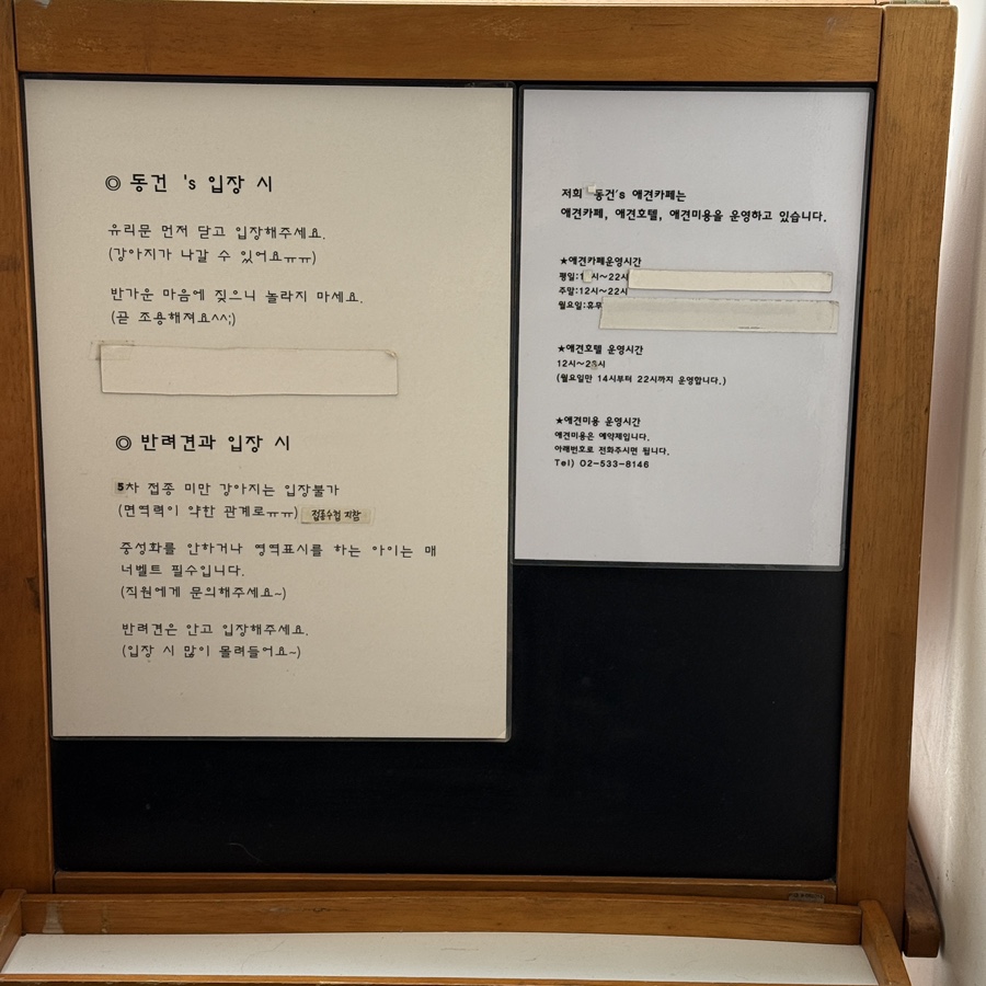 이수 애견카페 동건s: 다양한 강아지 만남 후기 — 사진 3