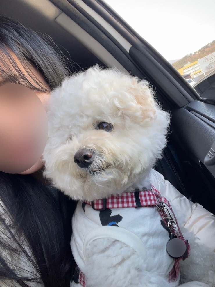 포레스트명례 이미지