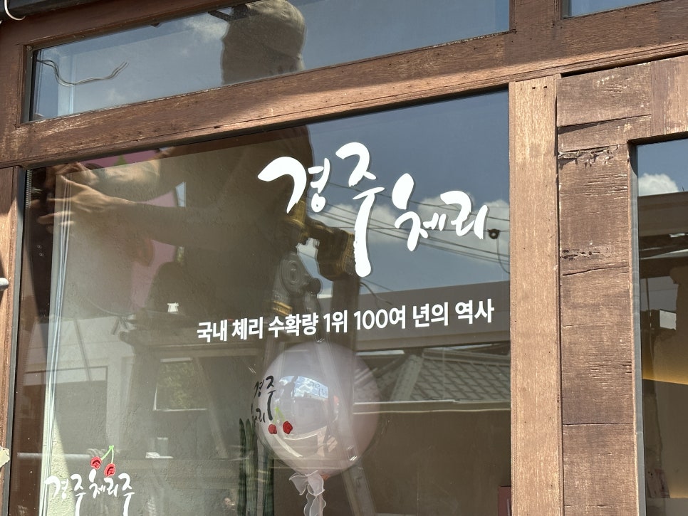트라이경주 이미지