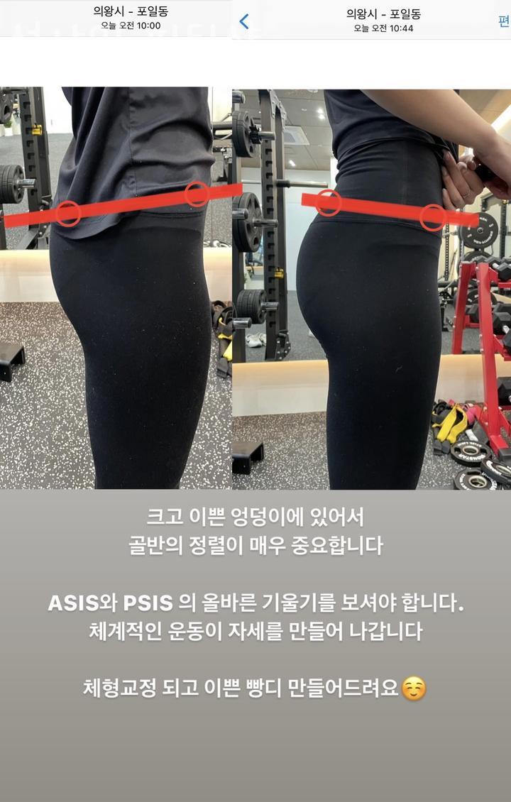 선샤인피티샵 이미지