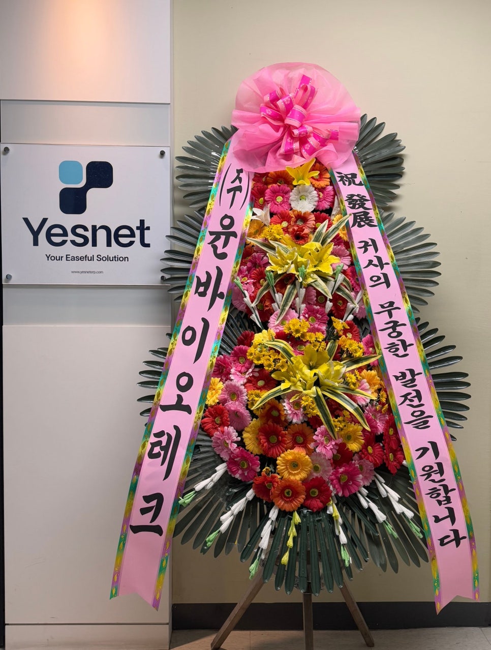예스넷 이미지