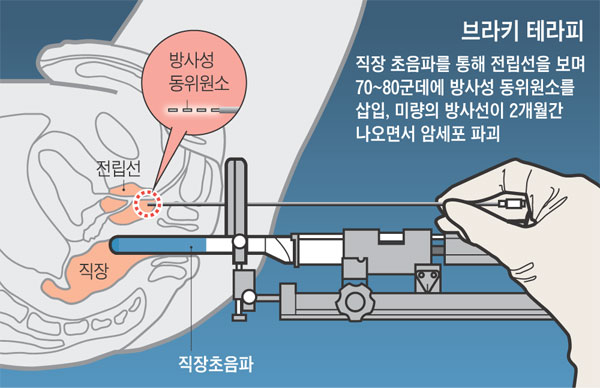 포시즌스요양병원 이미지