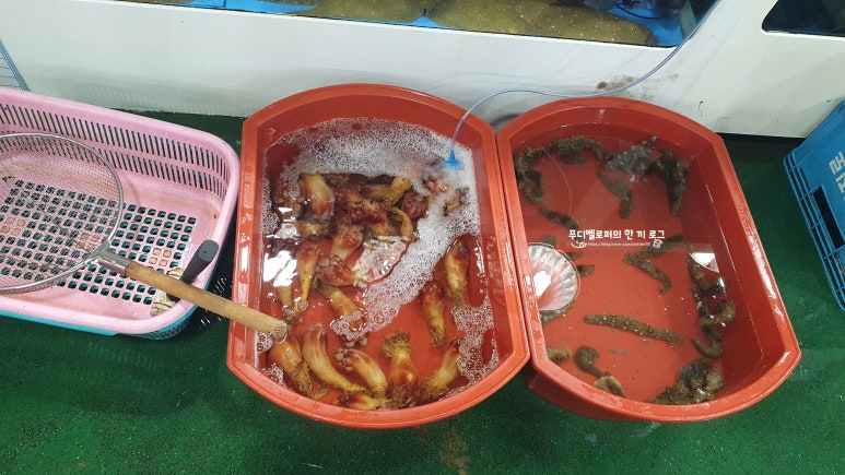 전주수산시장(주) 이미지