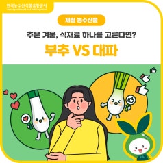 대표 식재료💚대파 vs 부추💚겨울철 내 몸을 따뜻하게 해주는 재료는? 바로가기