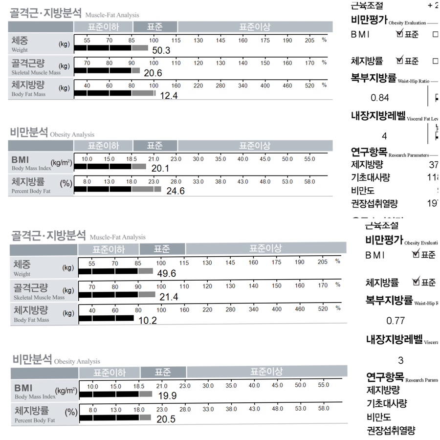 바벨폴댄스 이미지