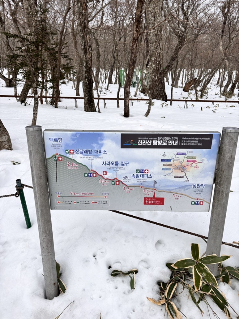 그린게스트하우스 이미지