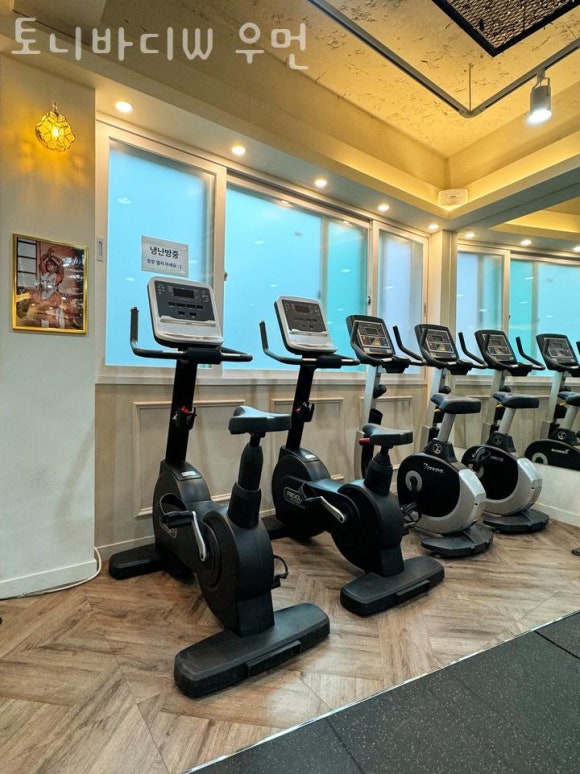 토니바디W 이미지