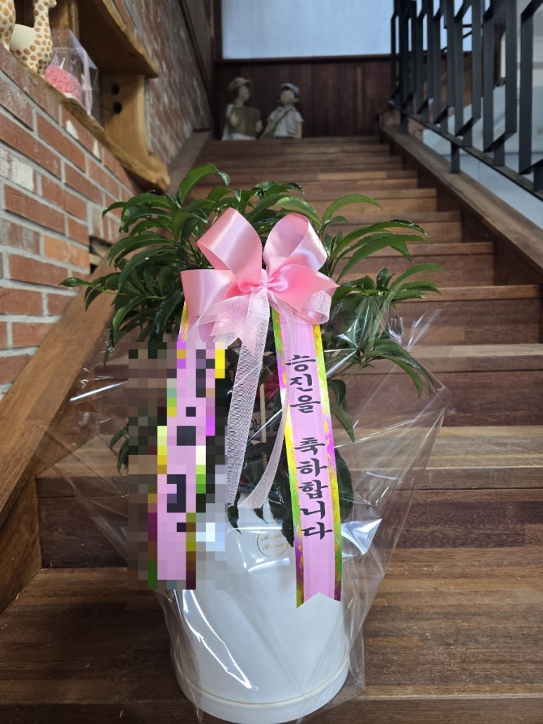 가산식물원 이미지