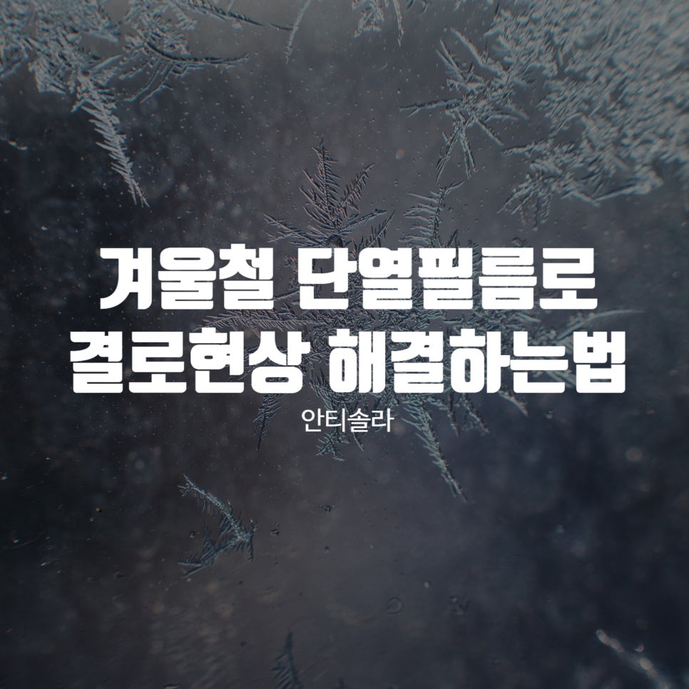안티솔라 이미지