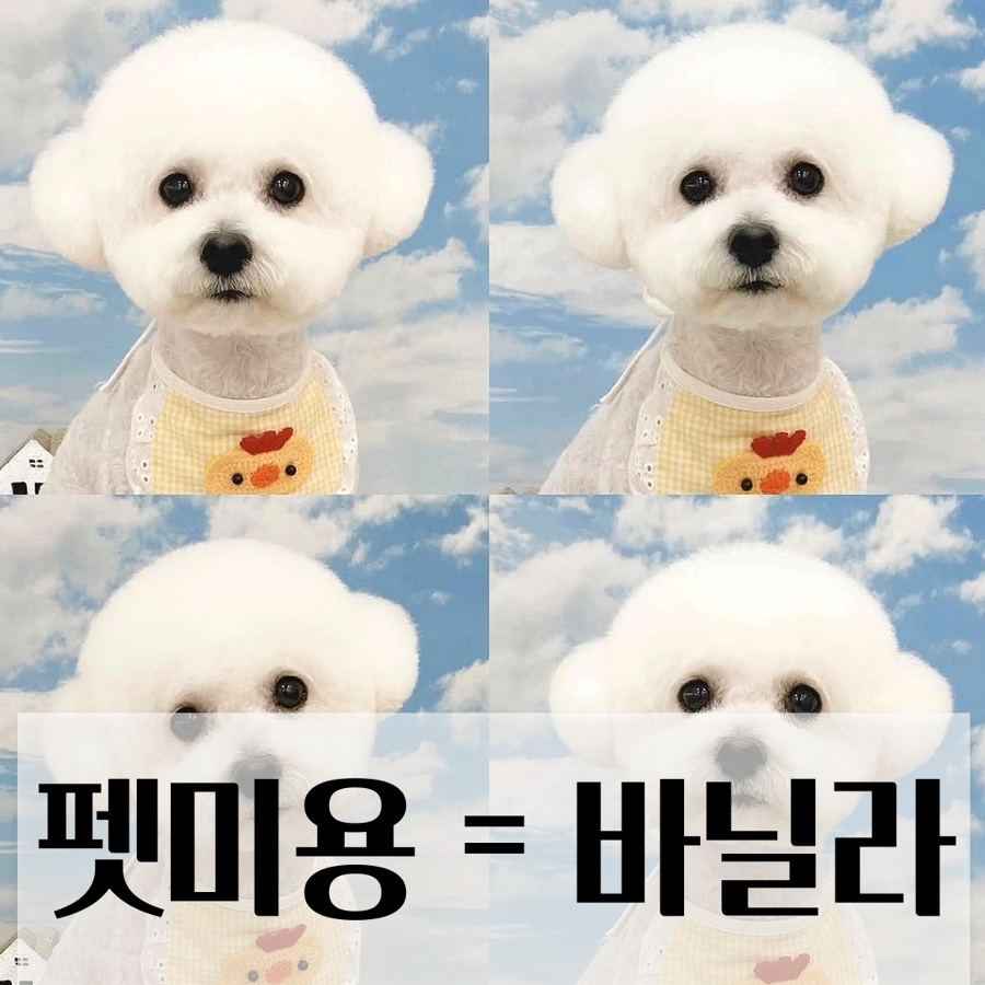 현대미용학원 이미지
