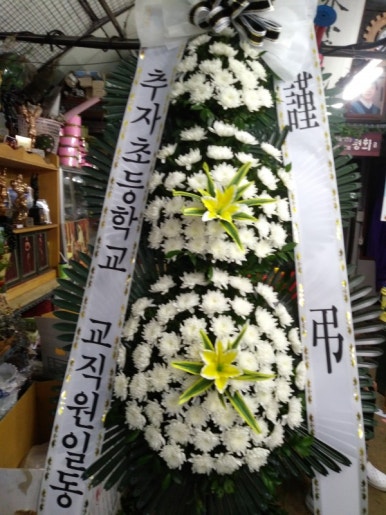 샤론디자인 이미지