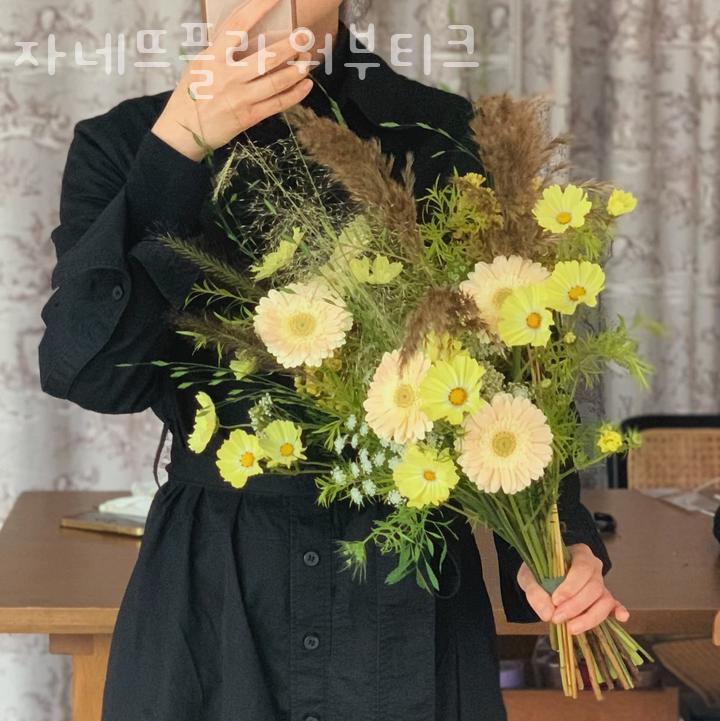 자네뜨 이미지