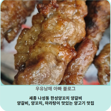한성세종푸드 이미지