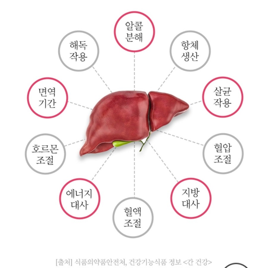 경대셀연합의원 이미지