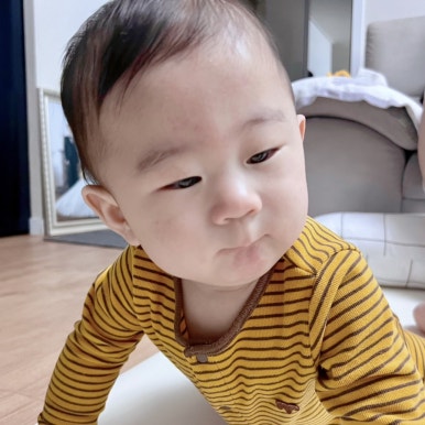 머리치레 이미지