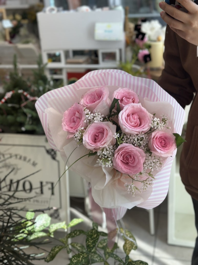 로라스텝 이미지