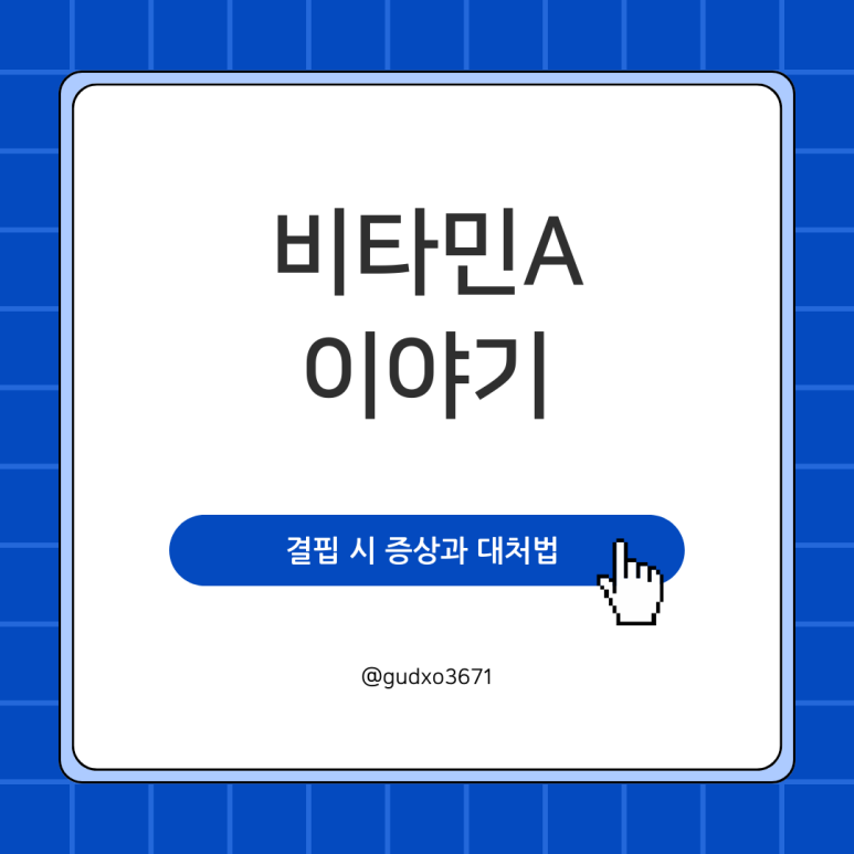 비타민이야기 이미지