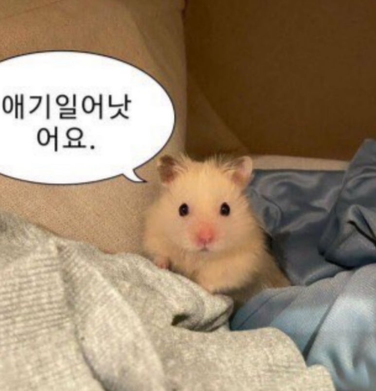 파리바게뜨 인천공항탑승동점 이미지