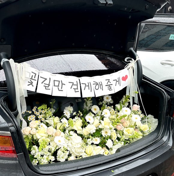플로피아 이미지