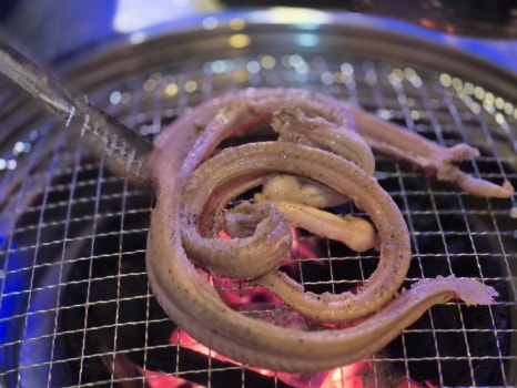 꼼지락숯불꼼장어 이미지