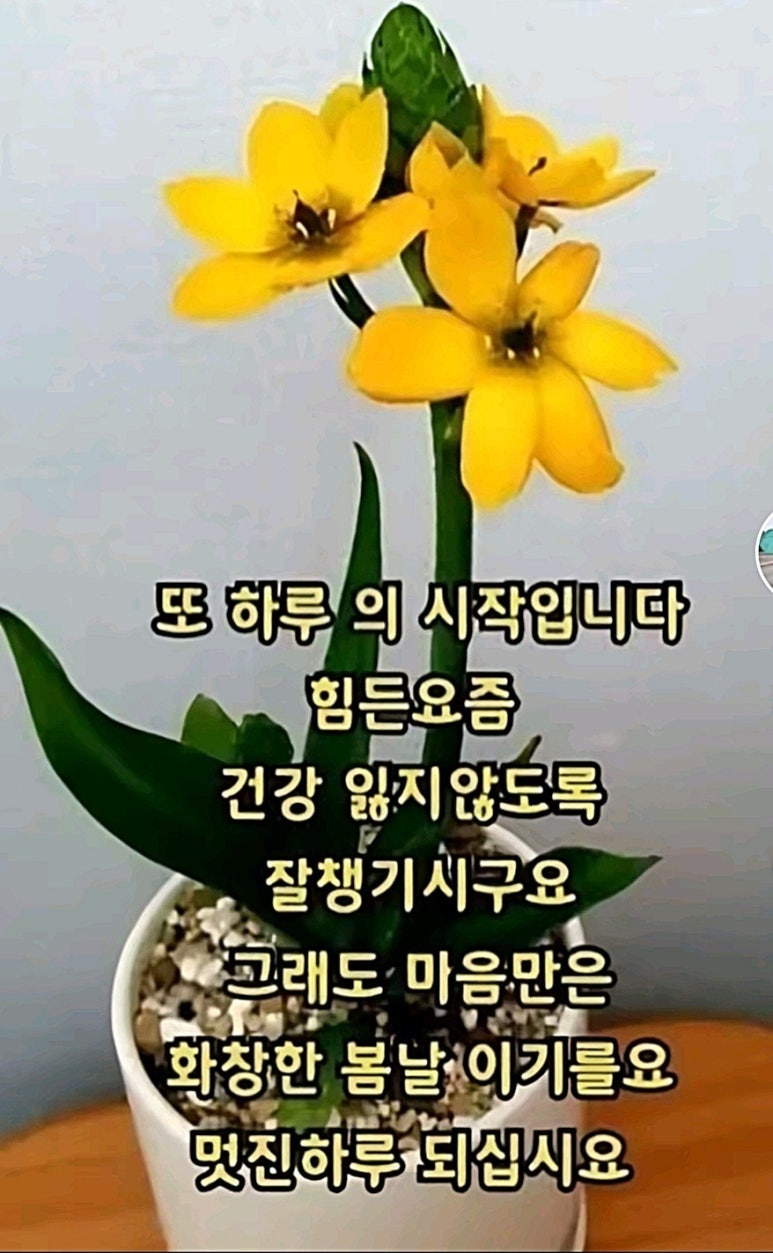 멋진하루 이미지