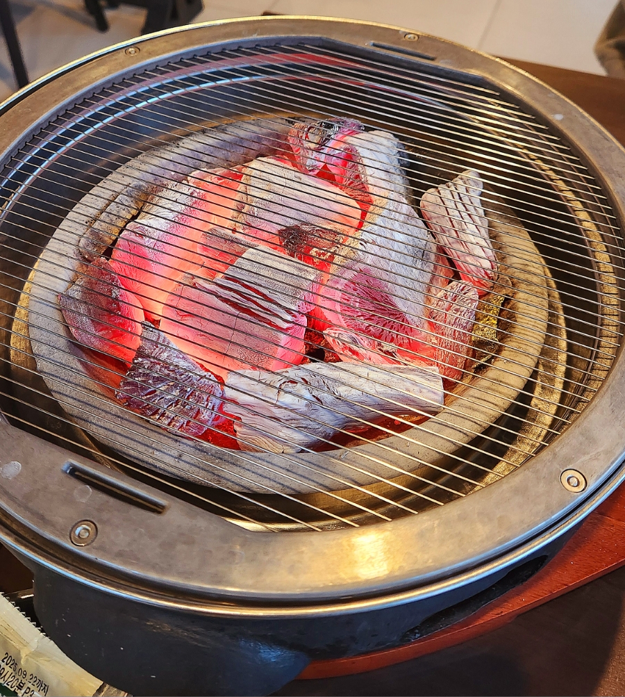 서씨고기 이미지