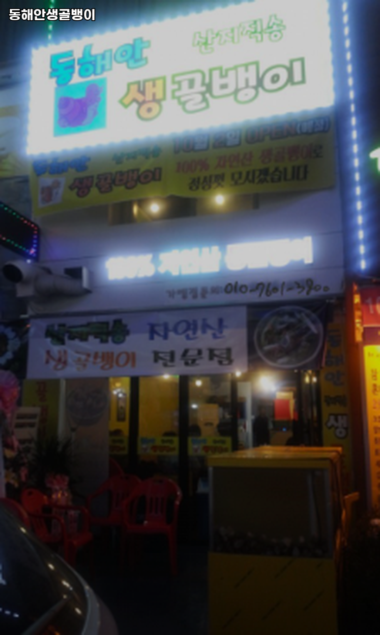 동해안생골뱅이 이미지