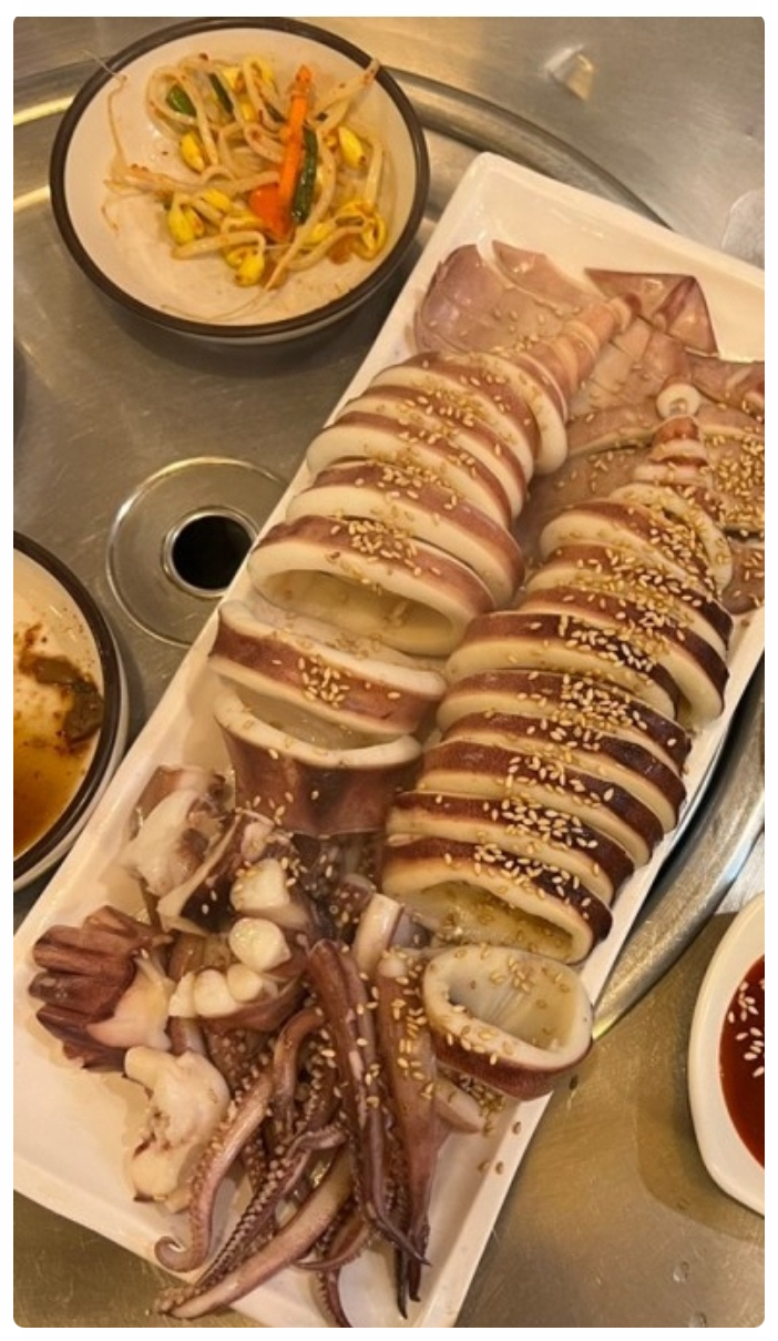오징어바다 이미지