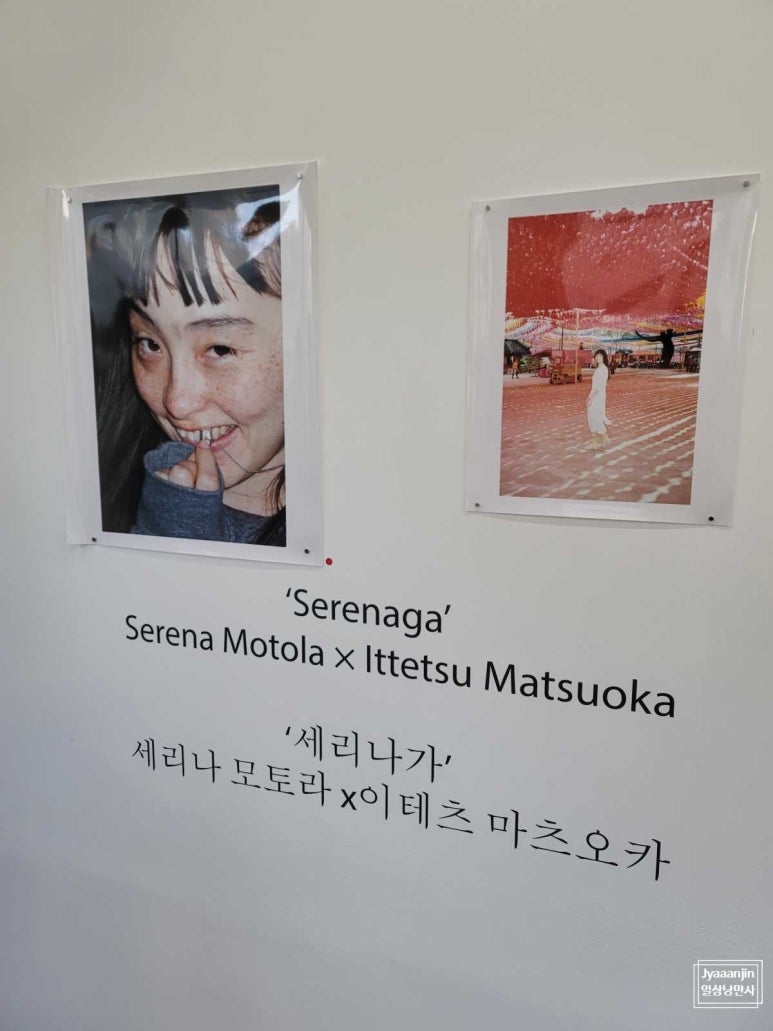 트리라이크스워터 이미지