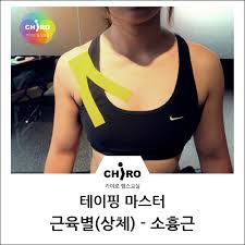 레드짐 이미지