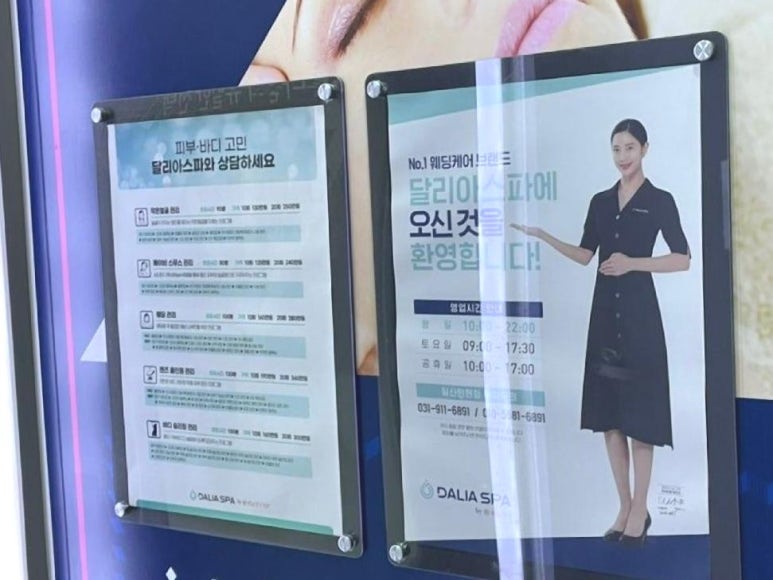 달리아에스테틱 이미지